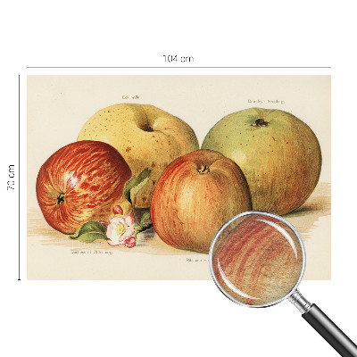 Tapetas Ebleblomsteris