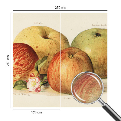 Tapetas Ebleblomsteris