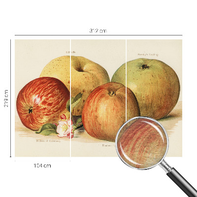 Tapetas Ebleblomsteris