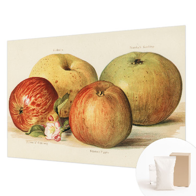 Tapetas Ebleblomsteris