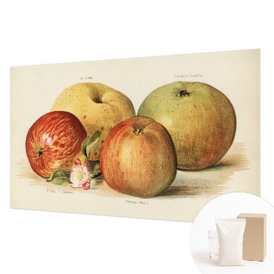 Tapetas Ebleblomsteris