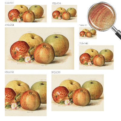 Tapetas Ebleblomsteris