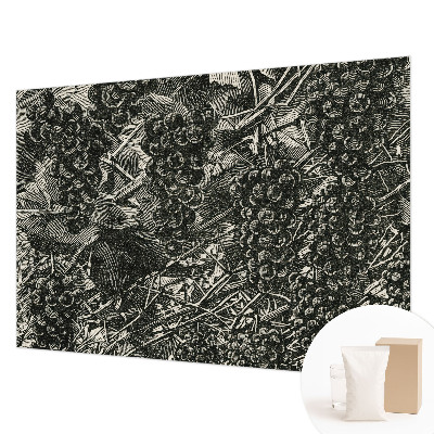 Fototapetas Drueprint