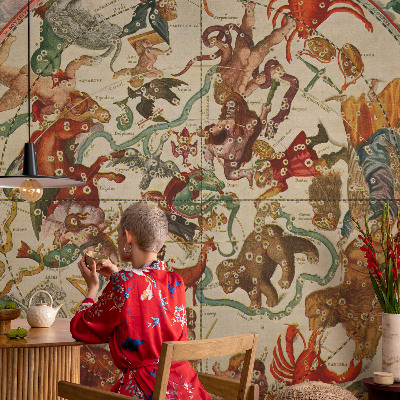 Stilingas fototapetas Šviesos kompozitorius