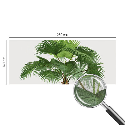 Sienų danga fototapetas su egzotišku palmės motyvu
