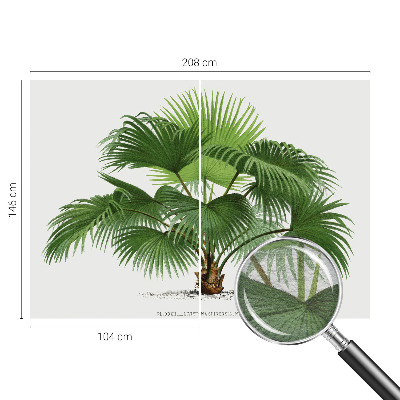 Sienų danga fototapetas su egzotišku palmės motyvu