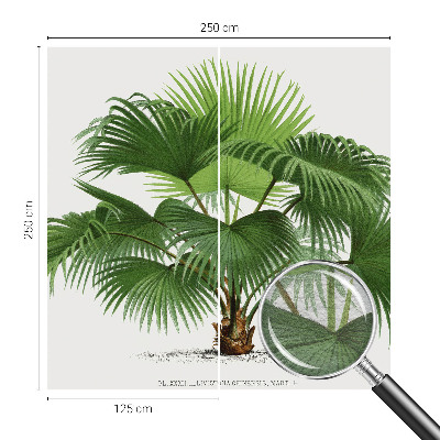 Sienų danga fototapetas su egzotišku palmės motyvu