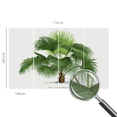Sienų danga fototapetas su egzotišku palmės motyvu