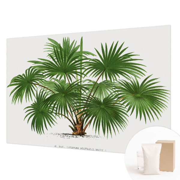 Fototapetas Egzotiškas monstras