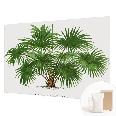 Fototapetas Egzotiškas monstras