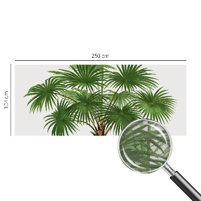Fototapetas su egzotiniu monstera lapų motyvu