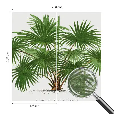 Fototapetas su egzotiniu monstera lapų motyvu