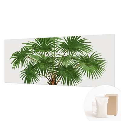 Fototapetas su egzotiniu monstera lapų motyvu