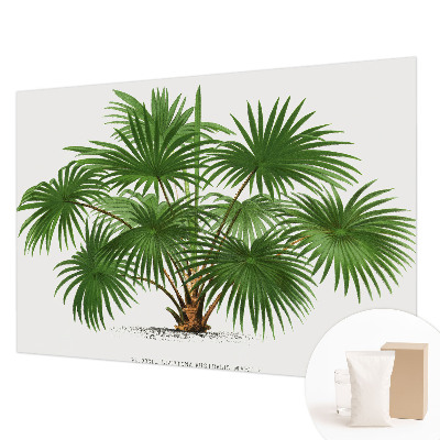 Fototapetas Egzotiškas monstras