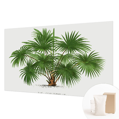 Fototapetas su egzotiniu monstera lapų motyvu