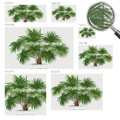 Fototapetas Egzotiškas monstras