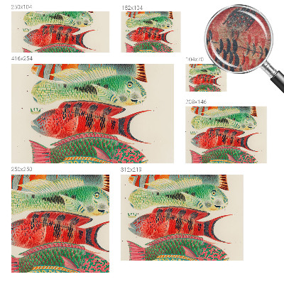 Flizelininis fototapetas Egzotiška žuvis