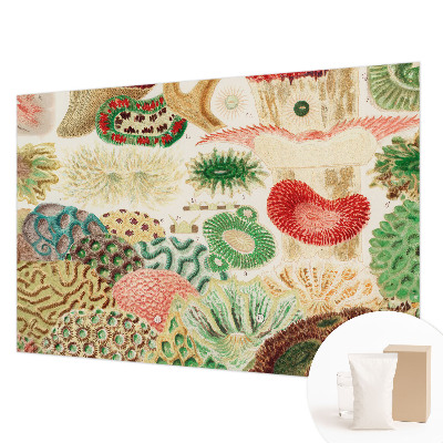 Fototapetas flizelino pagrindu Organų formavimo priemonė