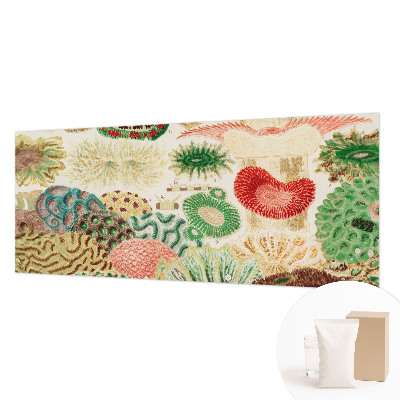 Fototapetas flizelino pagrindu Organų formavimo priemonė