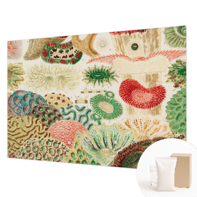 Fototapetas flizelino pagrindu Organų formavimo priemonė