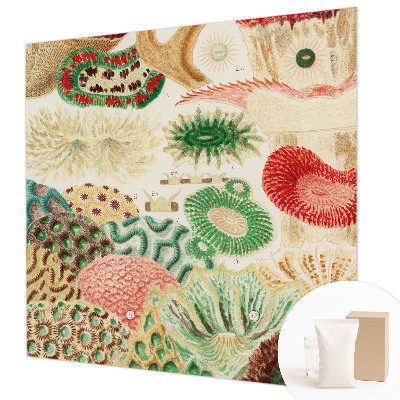 Fototapetas flizelino pagrindu Organų formavimo priemonė