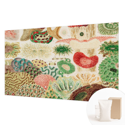 Fototapetas flizelino pagrindu Organų formavimo priemonė