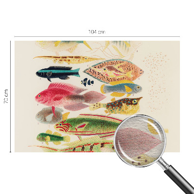 Plaunamas flizelininis fototapetas Spalvinga žuvis