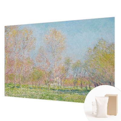 Fototapetas pagal užsakymą Forårparken