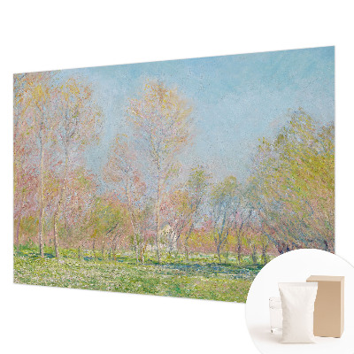 Fototapetas pagal užsakymą Forårparken