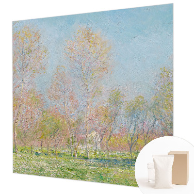 Fototapetas pagal užsakymą Forårparken