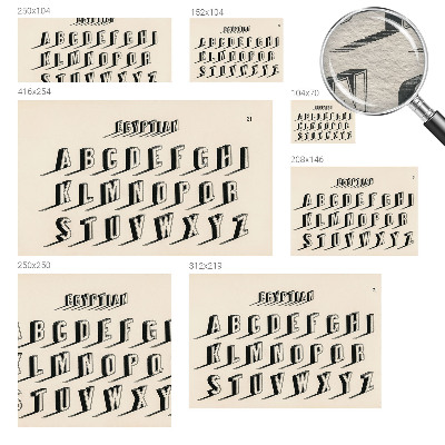 Aukštos kokybės fototapetas Vintažinių šakniavaisių