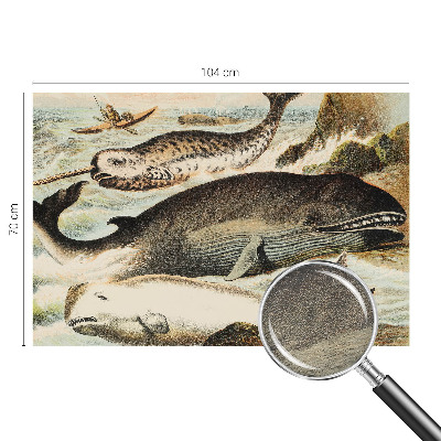 Fototapetas flizelino pagrindu Havgiganter