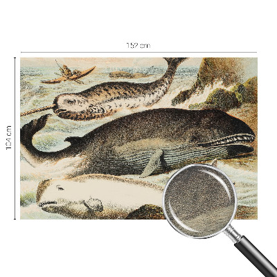 Fototapetas flizelino pagrindu Havgiganter