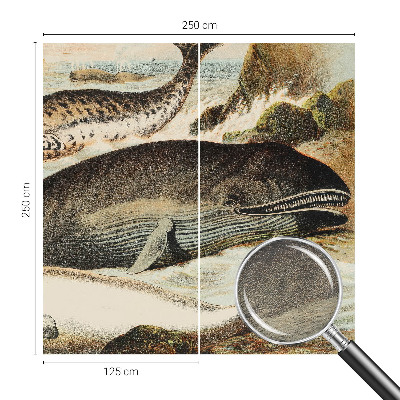 Fototapetas flizelino pagrindu Havgiganter