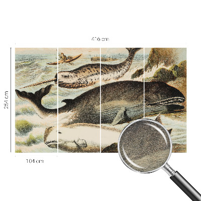 Fototapetas flizelino pagrindu Havgiganter