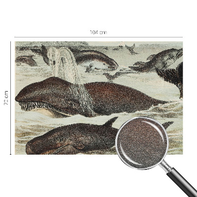 Plaunamas flizelininis fototapetas Havdyras