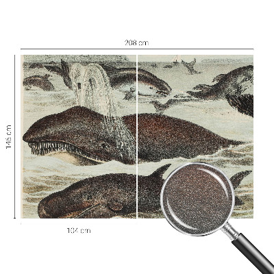 Plaunamas flizelininis fototapetas Havdyras