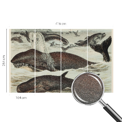 Plaunamas flizelininis fototapetas Havdyras