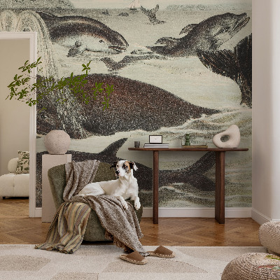 Plaunamas flizelininis fototapetas Havdyras