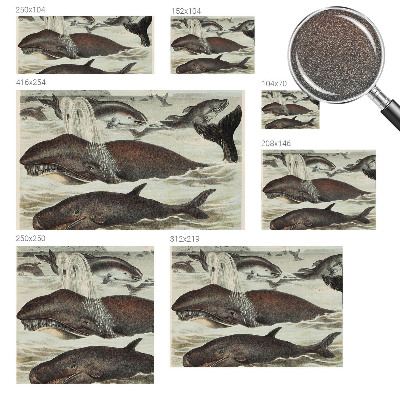 Plaunamas flizelininis fototapetas Havdyras