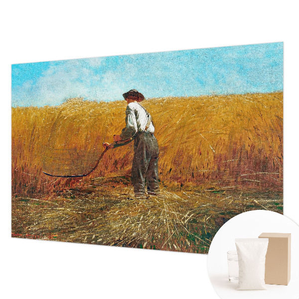 Modernus fototapetas Aukštyn ir saulė