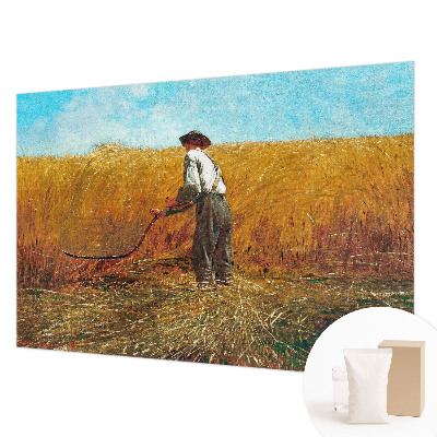 Modernus fototapetas Aukštyn ir saulė