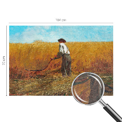 Modernus fototapetas Aukštyn ir saulė