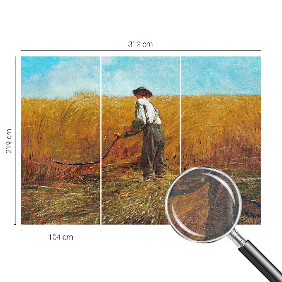 Modernus fototapetas su motyvu „Aukštyn ir saulė“