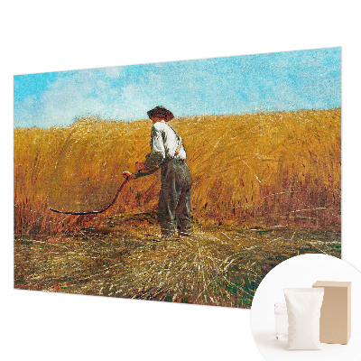 Modernus fototapetas Aukštyn ir saulė