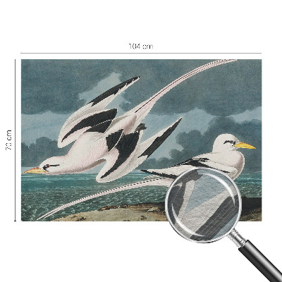 Fototapetas svetainei Fugle ved havet