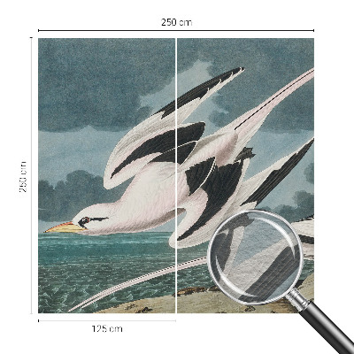 Fototapetas svetainei Fugle ved havet