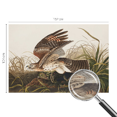 Fototapetas miegamajam Vinget skønhed