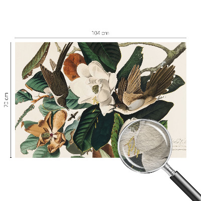 Modernus fototapetas su magnolijos motyvu „Fugle“