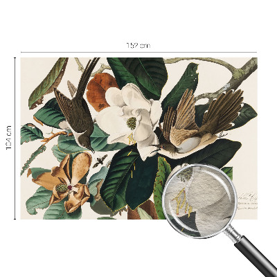 Modernus fototapetas su magnolijos motyvu „Fugle“